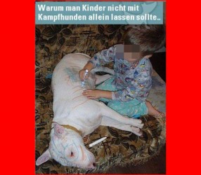 tierquaeler-kindergarten-kampf-hund-kind-malen-farben-anmalen-tierheim-aachen-eltern