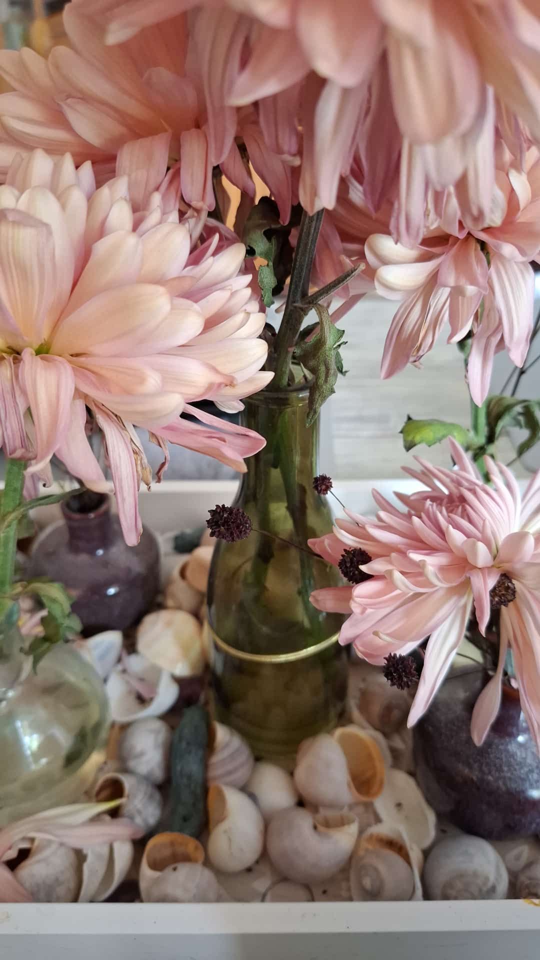Warum Blumen unser Zuhause verzaubern – und wir sie heimlich anhimmeln