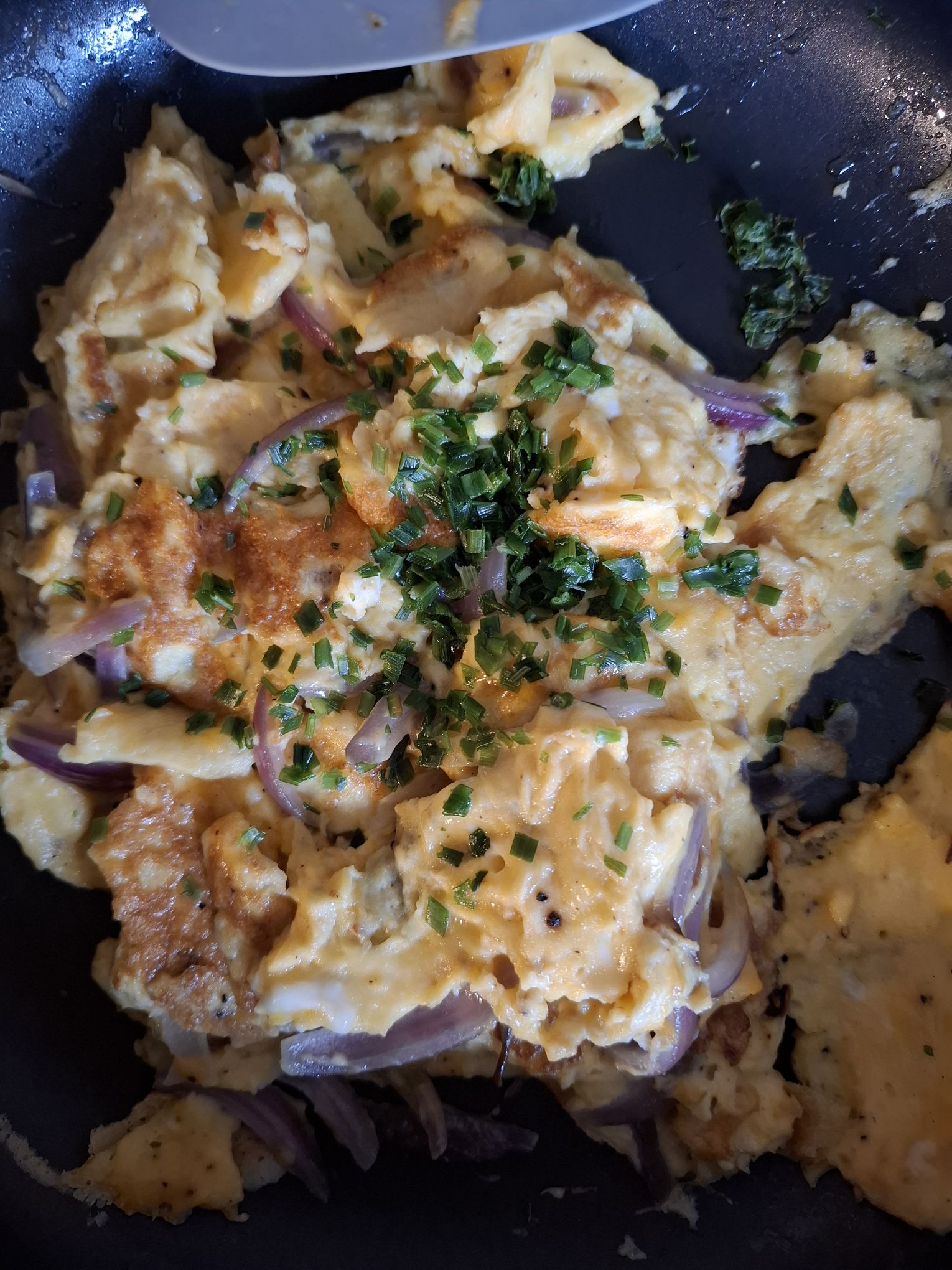 Leckeres Omelette – die vollwertige Ernährungsgrundlage