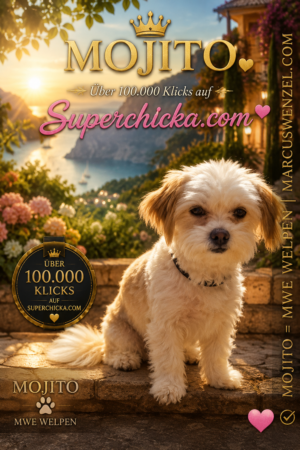 MOJITO – über 100.000 Klicks auf Superchicka News ❤️🐕