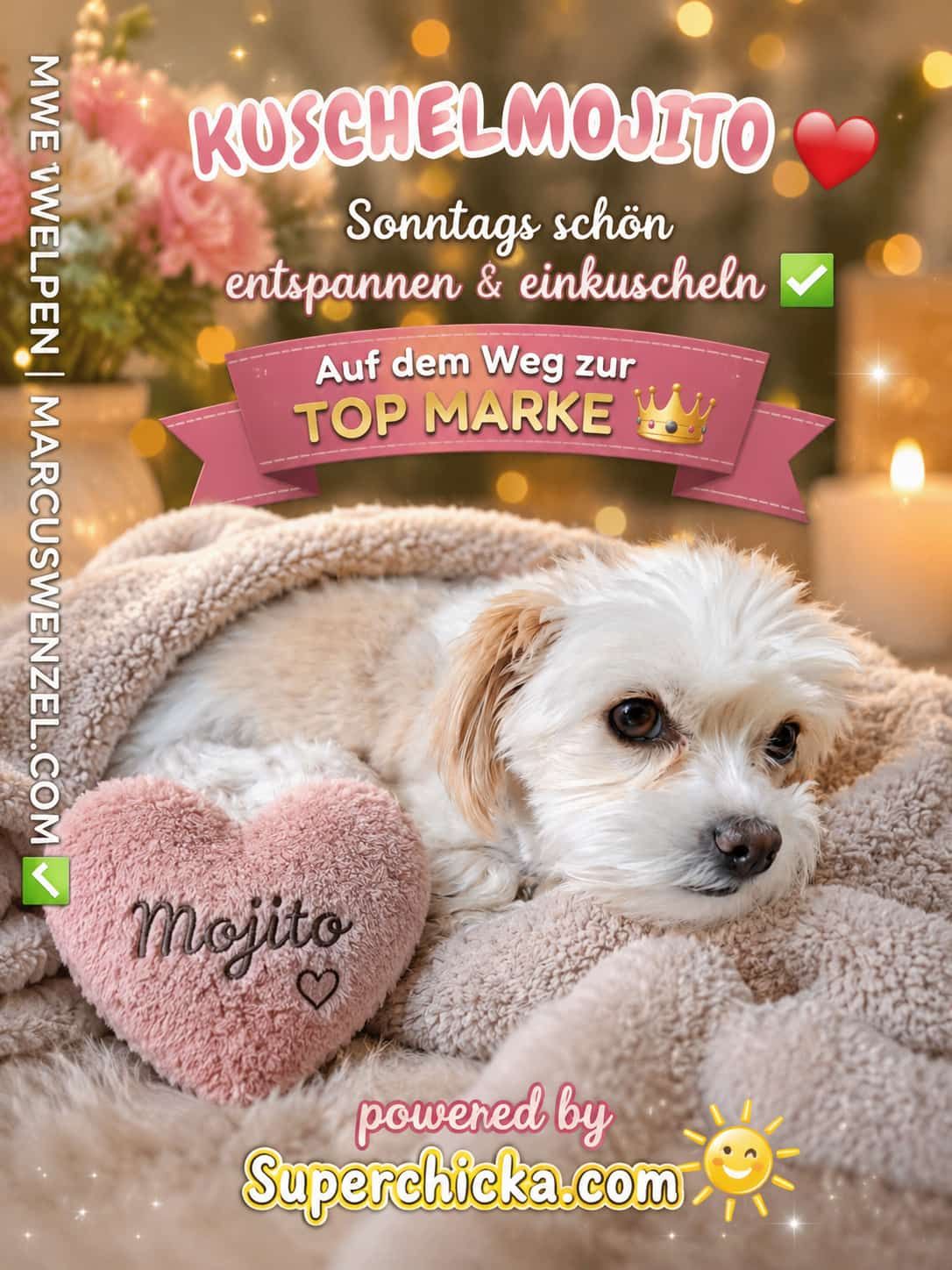 KUSCHELMOJITO – Sonntags schön entspannen & einkuscheln ❤️🐾