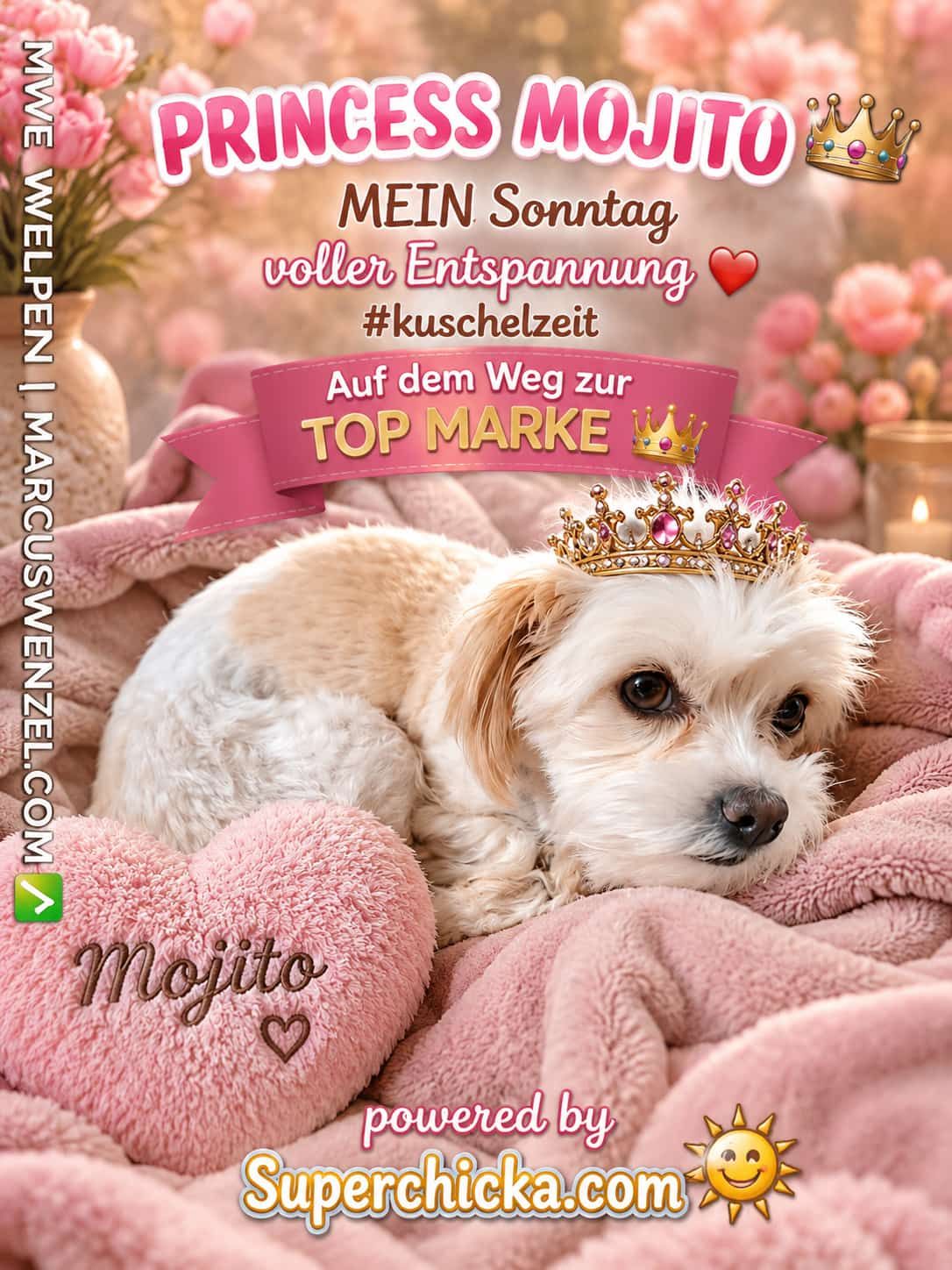 PRINCESS MOJITO – MEIN Sonntag voller Entspannung #kuschelzeit 👑❤️🐾