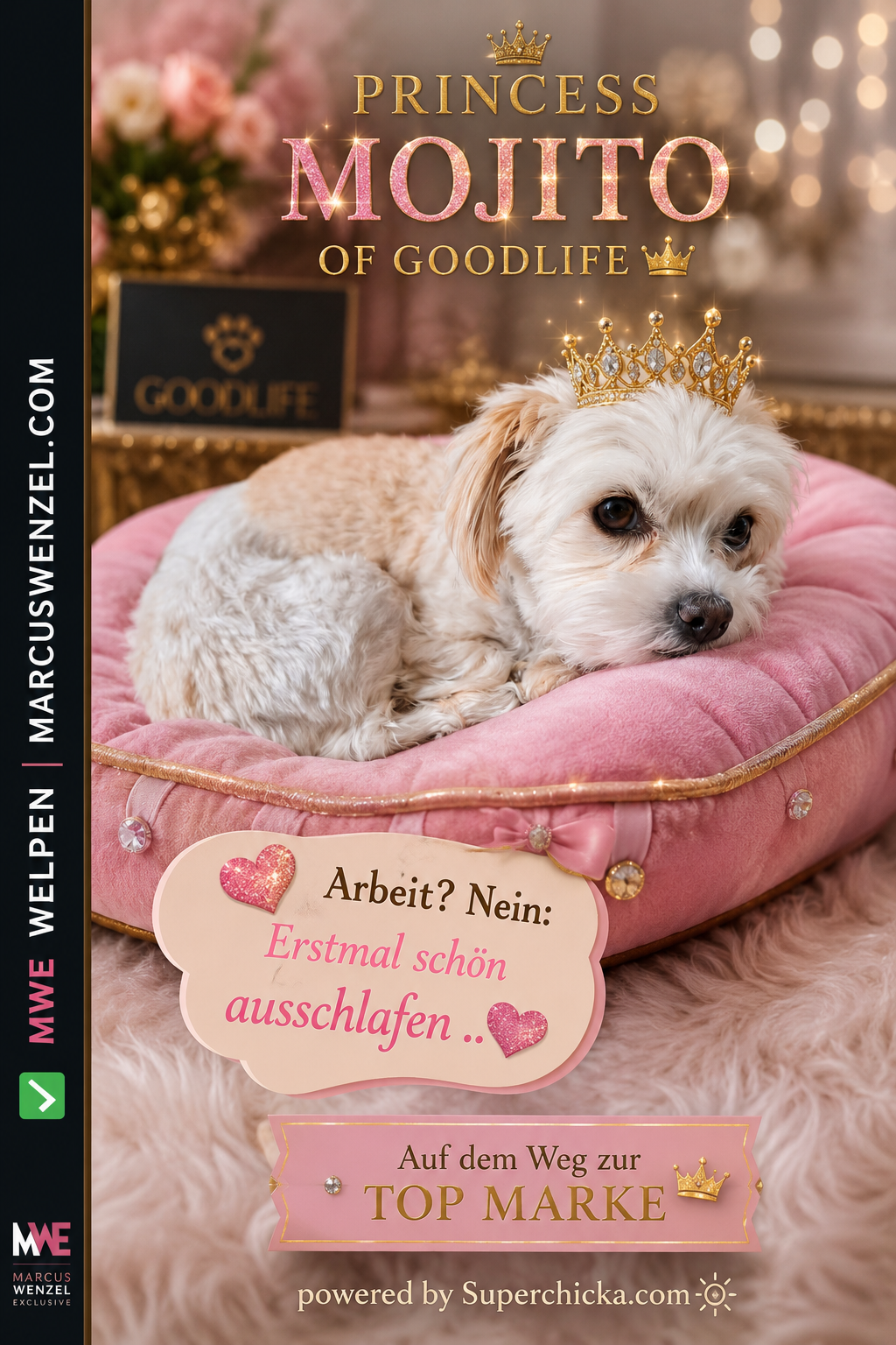 PRINCESS MOJITO OF GOODLIFE – Arbeit? Nein: Erstmal schön ausschlafen .. 👑😴🐾