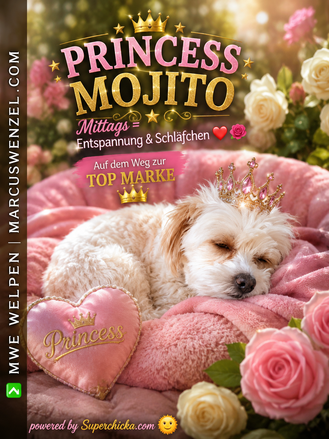 PRINCESS MOJITO – Mittags = Entspannung & Schläfchen 👑😴🐾