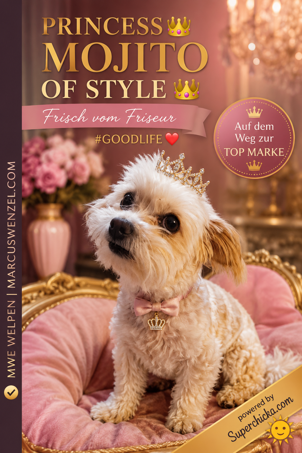 PRINCESS MOJITO OF STYLE – Exquisit vom Friseur 👑✂️🐾