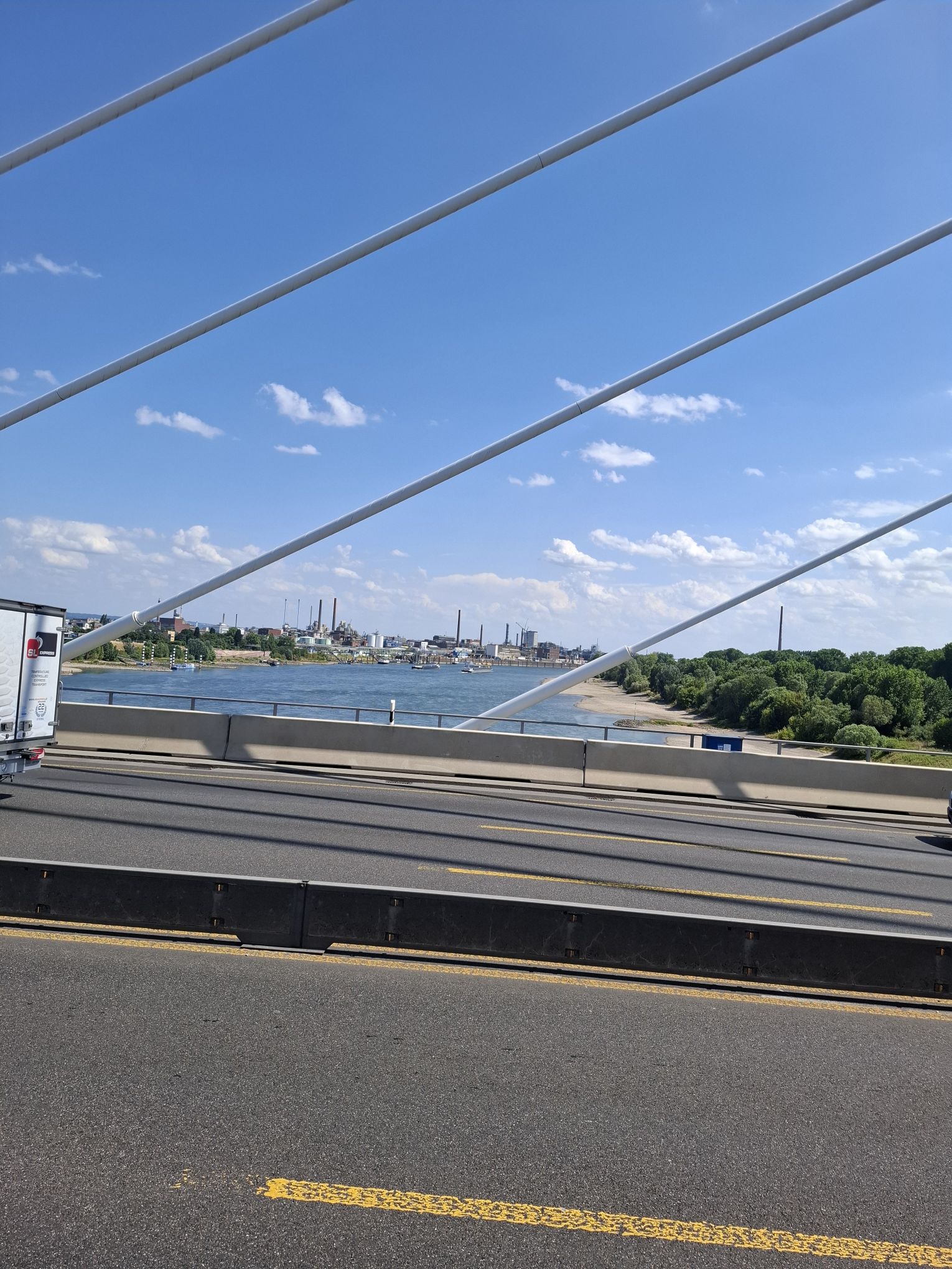 Ausblick RHEIN | Kraftvoll und immer alles im Fluss