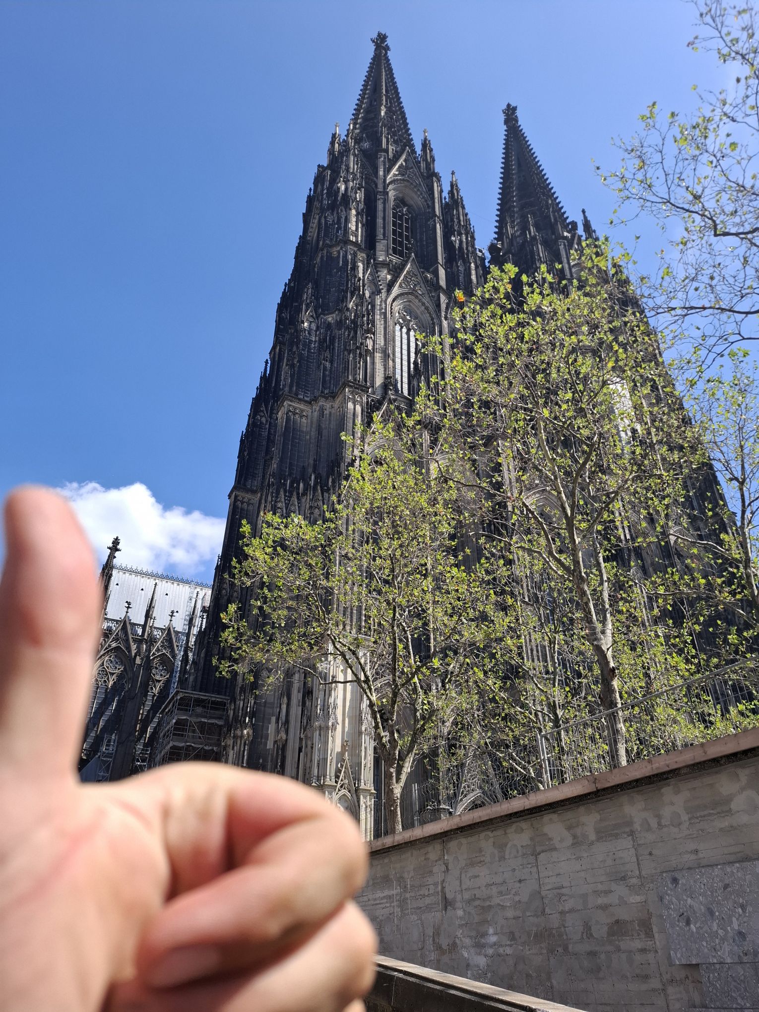 Magie Kölner Dom | Begeisterung für Millionen in Kölle